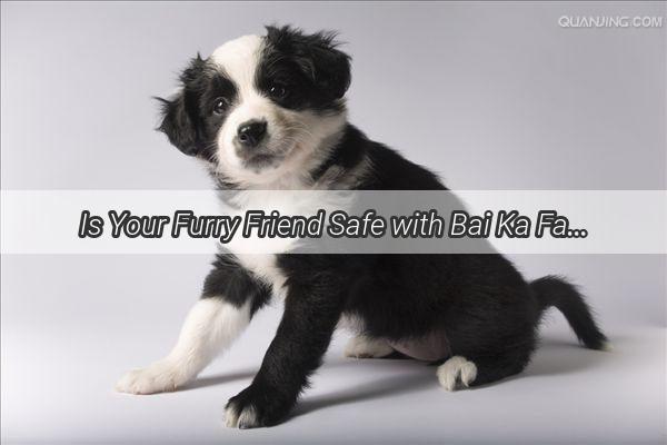 Is Your Furry Friend Safe with Bai Ka Fatso Water A Comprehensive Guide to Pet Safety